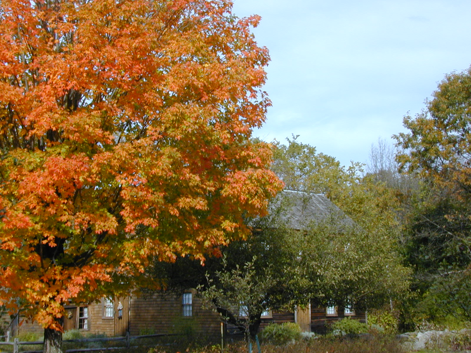 Bedford Day Job Lane Farm MuseumJob Lane Farm Museum